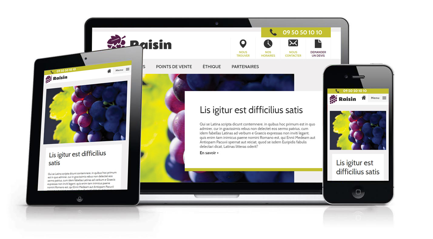 Modèle 3 modèle graphique raisin