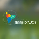 vignette Communauté de communes Terre d'Auge