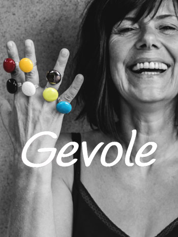 Site internet Gevole 